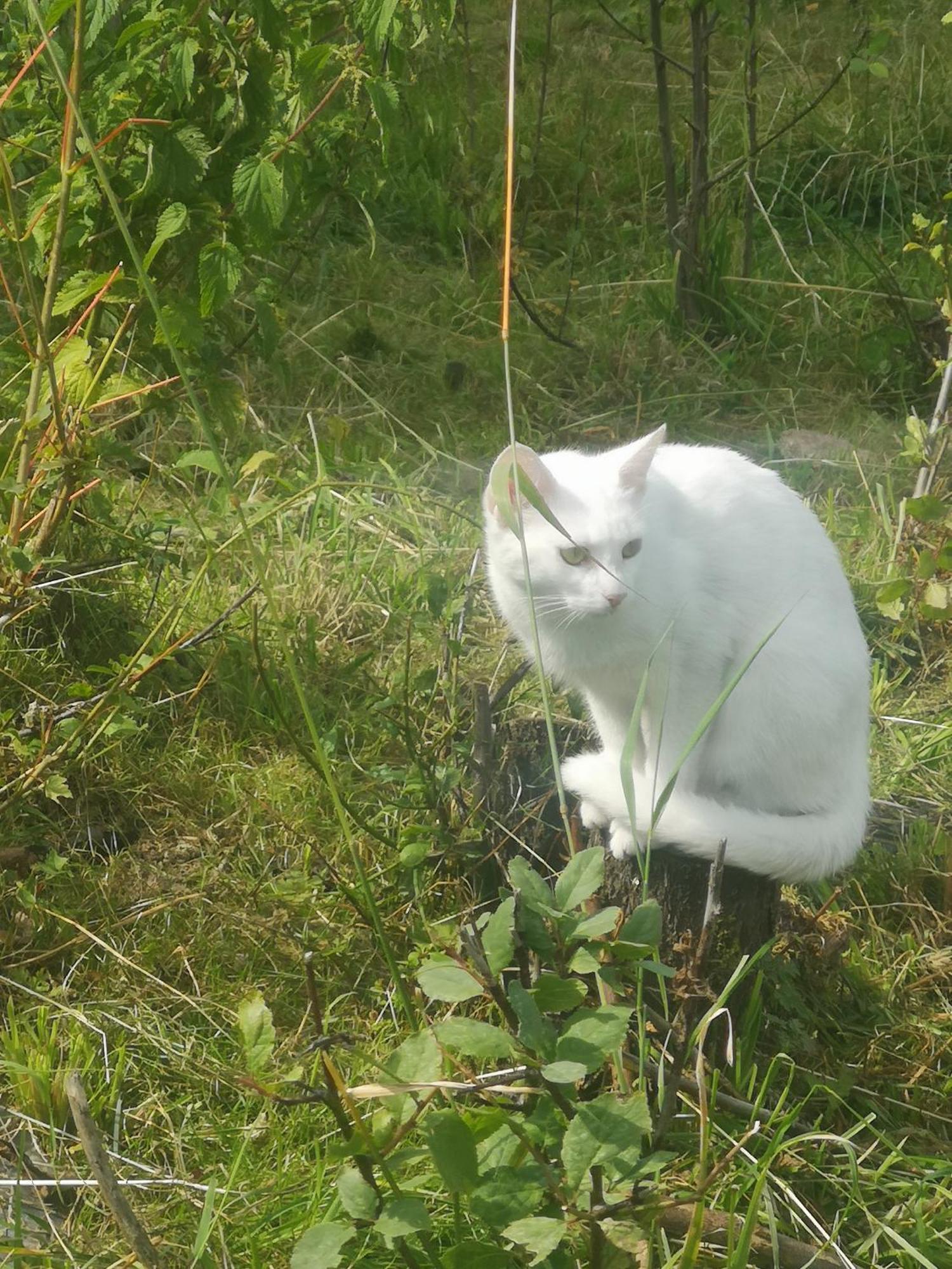 Agroturystyka U Kozdryka レシナ エクステリア 写真